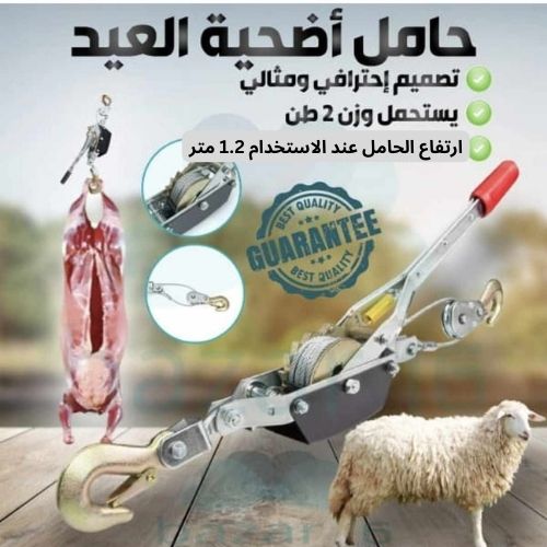 حامل أضحية العيد